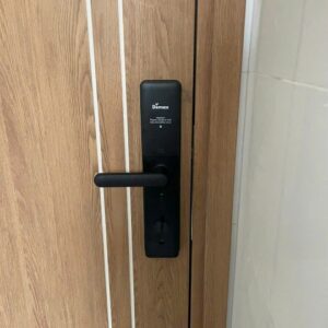 Khoá cửa vân tay Demax SL-C619 BN App wifi