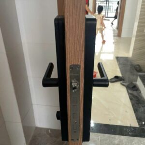Khoá cửa vân tay Demax SL-C619 BN App wifi