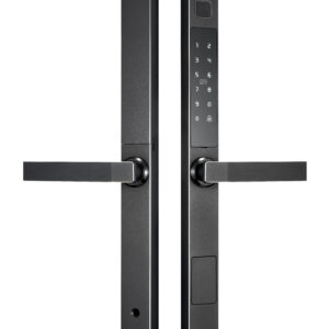 Khóa TTL 308