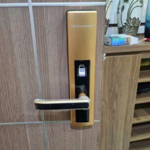 Khóa Cửa Dessmann S510 - Khóa Vân Tay Thông Minh Cao Cấp Từ Đức