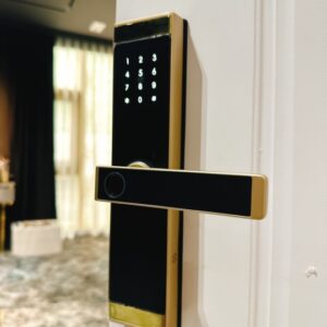Khóa Vân Tay DH-02: Giải Pháp Bảo Mật Hiện Đại Cho Ngôi Nhà Của Bạn