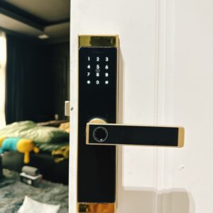 Khóa Vân Tay DH-02: Giải Pháp Bảo Mật Hiện Đại Cho Ngôi Nhà Của Bạn 8 Khóa Vân Tay DH-02: Giải Pháp Bảo Mật Hiện Đại Cho Ngôi Nhà Của Bạn