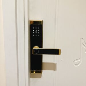 Khóa Vân Tay DH-02: Giải Pháp Bảo Mật Hiện Đại Cho Ngôi Nhà Của Bạn 9 Khóa Vân Tay DH-02: Giải Pháp Bảo Mật Hiện Đại Cho Ngôi Nhà Của Bạn