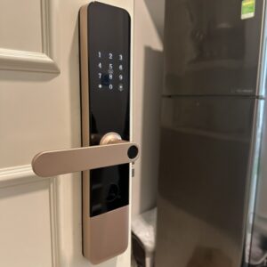 Khóa Cửa Gỗ Vân Tay DH 01 : Thông Minh, An Toàn, Tiện Lợi