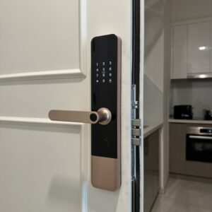 Khóa Cửa Gỗ Vân Tay DH 01 : Thông Minh, An Toàn, Tiện Lợi