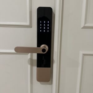 Khóa Cửa Gỗ Vân Tay DH 01 : Thông Minh, An Toàn, Tiện Lợi