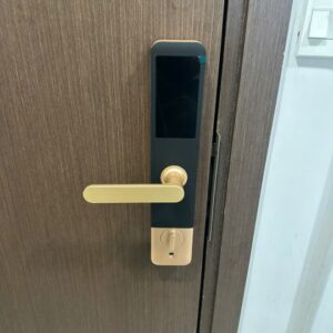 Khóa Cửa Gỗ Vân Tay DH 01 : Thông Minh, An Toàn, Tiện Lợi