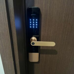 Khóa Cửa Gỗ Vân Tay DH 01 : Thông Minh, An Toàn, Tiện Lợi