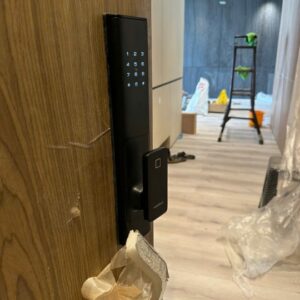 Khóa Điện Tử Hafele PP8100: Bảo Vệ Ngôi Nhà Bạn Một Cách Thông Minh